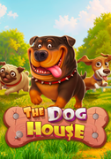 The Dog House