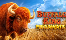 Buffalo King Megaways