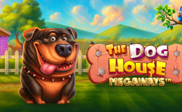 The Dog House Megaways