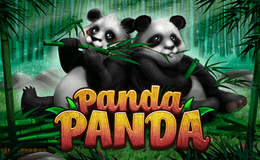 Panda Panda