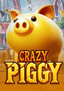 Crazy Piggy